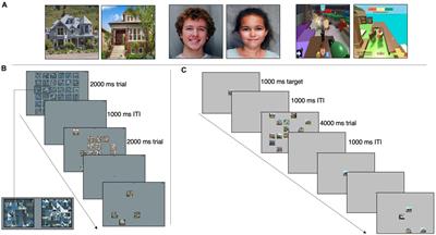 Visual Search for Circumscribed Interests in Autism Is Similar to That of Neurotypical Individuals